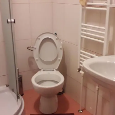Vila Maria Guest house Bocsa